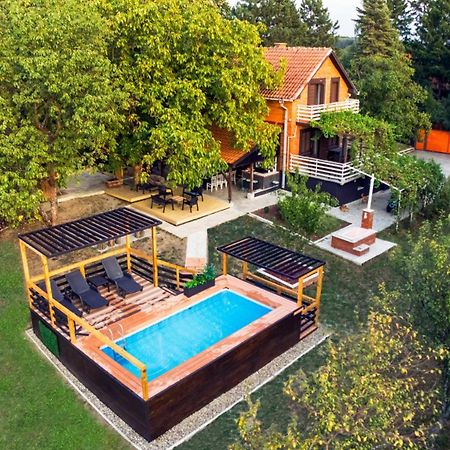 Villa Dijana - Pool, Spa, Outdoor Kitchen بلغراد المظهر الخارجي الصورة